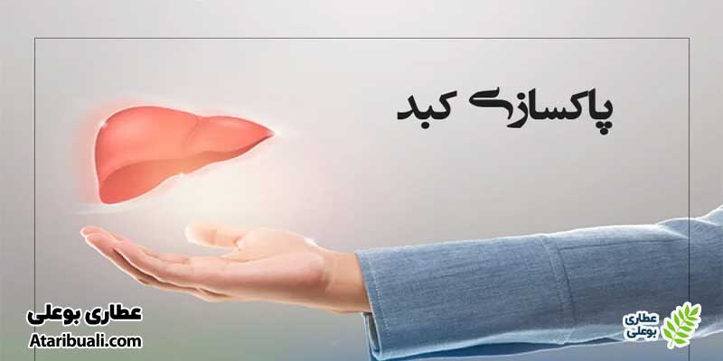 خواص کپسول لیورید اچ تی اس، سم‌زدایی کبد