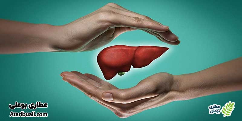 خواص کپسول لیوسل آنتی ایجینگ، حفظ سلامت و عملکرد طبیعی کبد