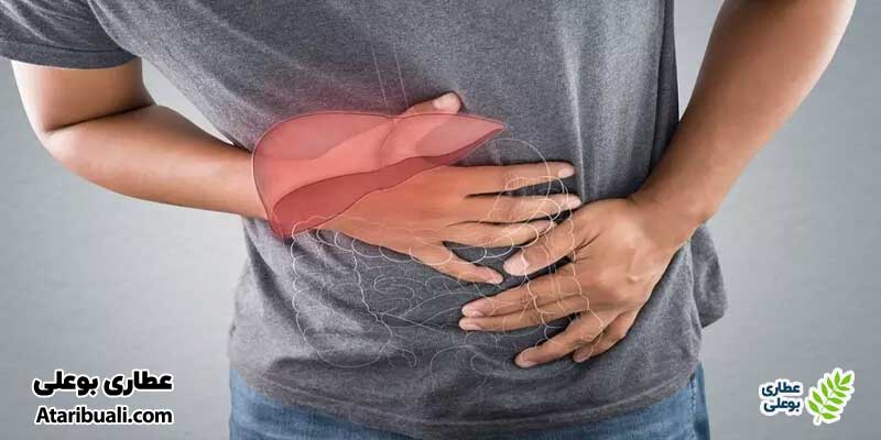 خواص کپسول لیوسل آنتی ایجینگ، درمان آسیب‌های ناشی از سمیت کبد