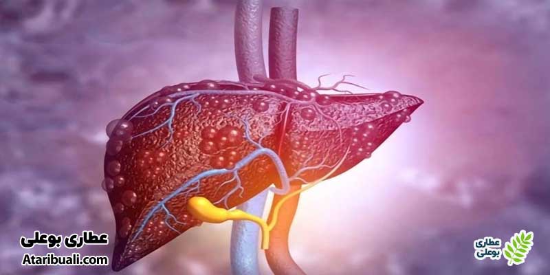 خواص کپسول لیوکس آرایکس، تصفیه‌کننده سیستم کبدی