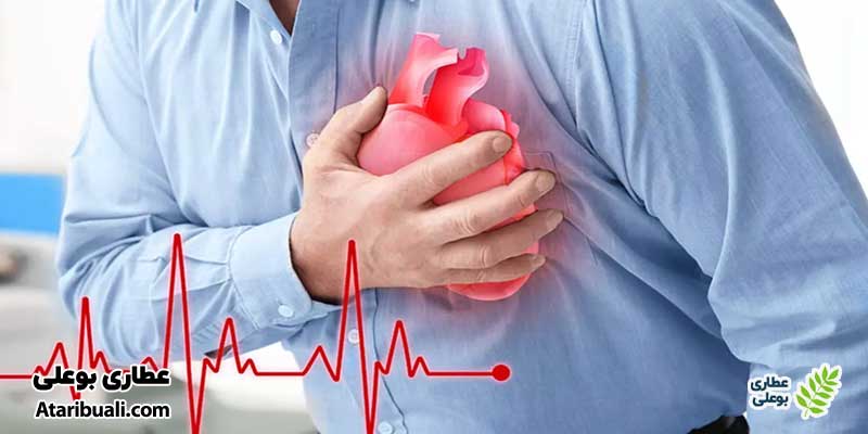 خواص کپسول لیپوهرب، پیشگیری و درمان بیماری‌های قلبی-عروقی