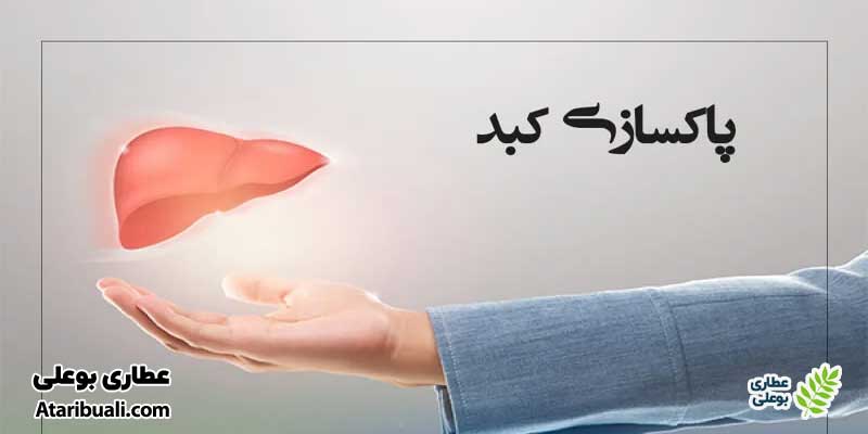 خواص کپسول هپاتیکال، سم زدایی کبد