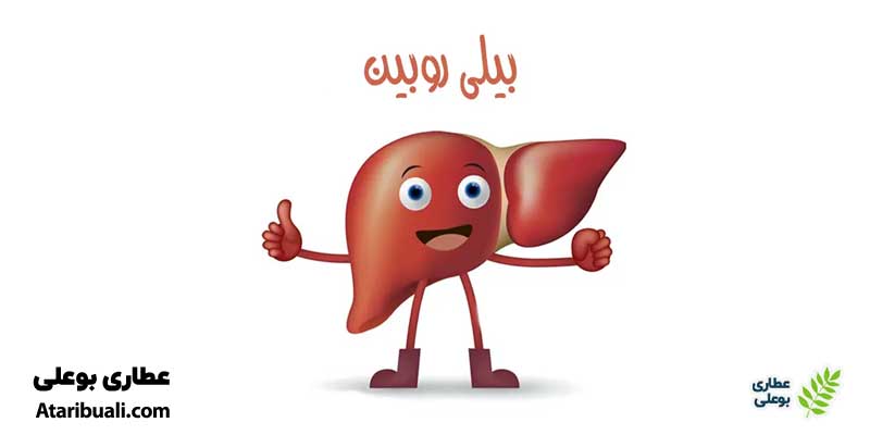 خواص کپسول هپاتیکال، کاهش بیلی روبین