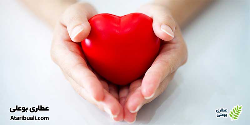 خواص ماست و شوید، پیشگیری از بیماریهای قلبی