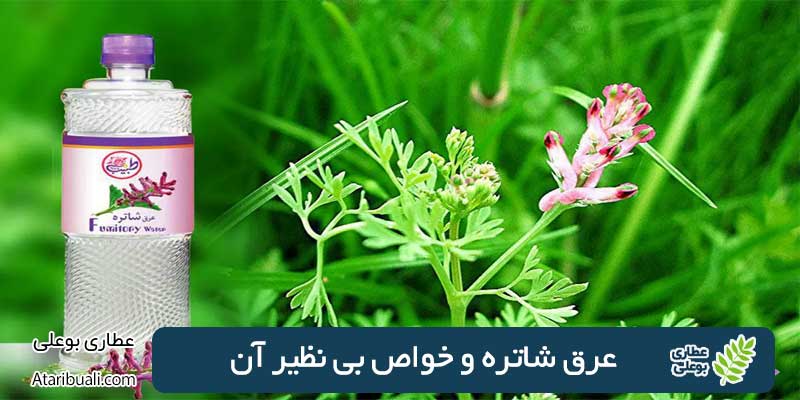 عرق شاتره و خواص بی نظیر آن