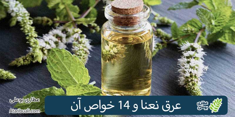 عرق نعنا و 14 خواص آن