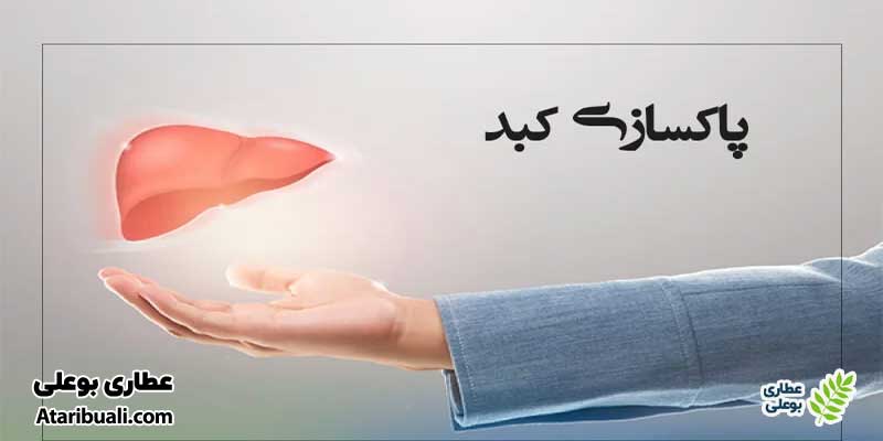 سمزدایی کبد و بهبود عملکرد دفع مواد زائد