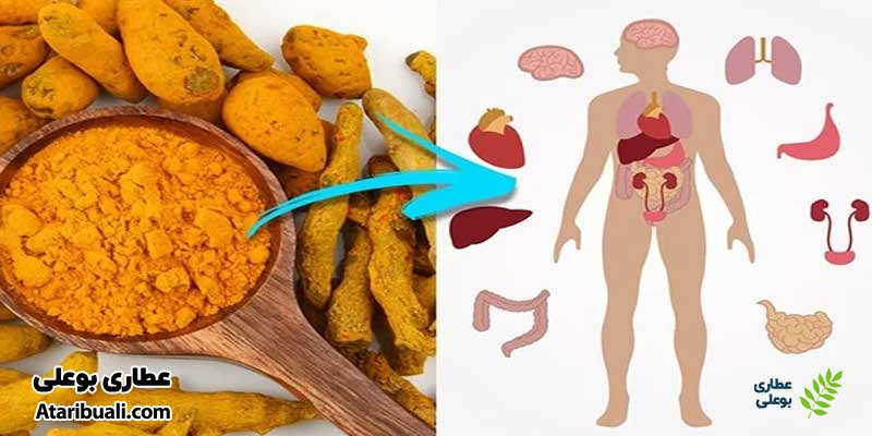 دیگر خواص زردچوبه