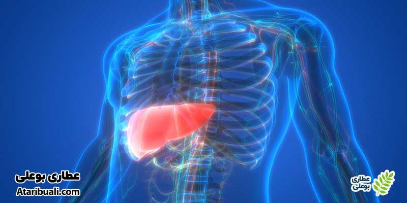 پیشگیری و مدیریت کبد چرب غیرالکلی (NAFLD)