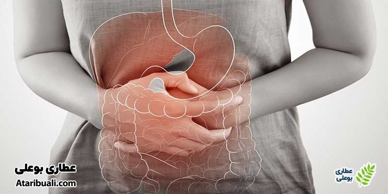 تحریک معده و سیستم گوارشی