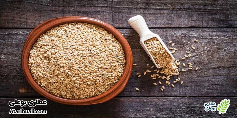 تخم کتان چیست؟