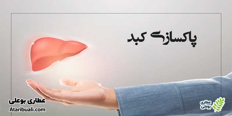 منظور از پاکسازی کبد چیست؟
