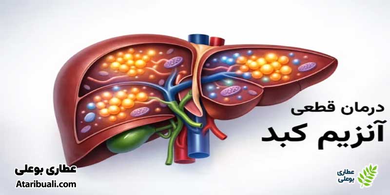 مراقبت و درمان آنزیمهای کبدی بالا چگونه درمان میشود؟