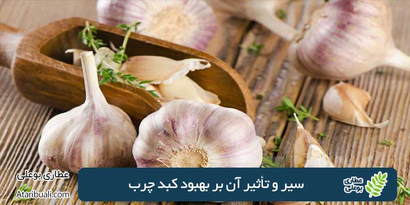 Garlic and its effect on improving fatty liver