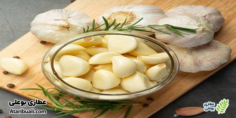 نکات مهم در استفاده از سیر
