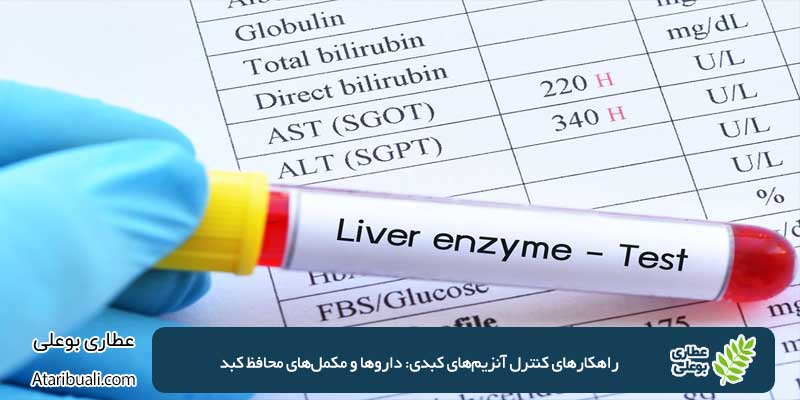 Strategies for Controlling Liver Enzymes
