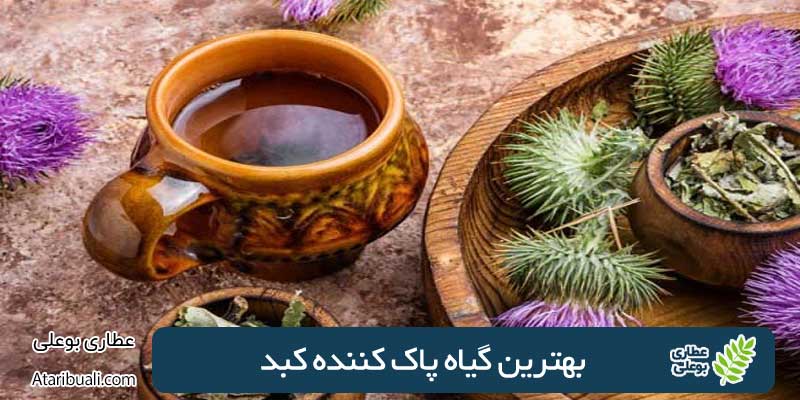The best liver cleansing herbs and their role in body health