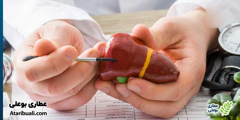 چرا پزشک آنزیمهای کبدی را بررسی میکند؟
