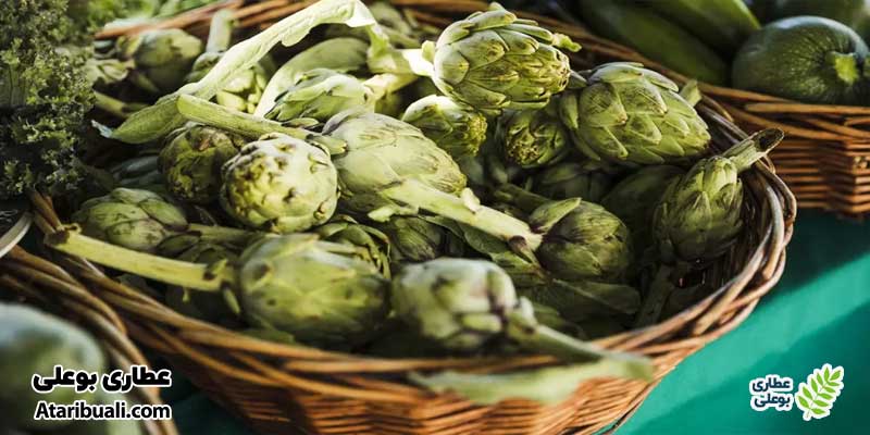 آرتیشو (کنگر فرنگی): گیاهی برای بهبود عملکرد کبد