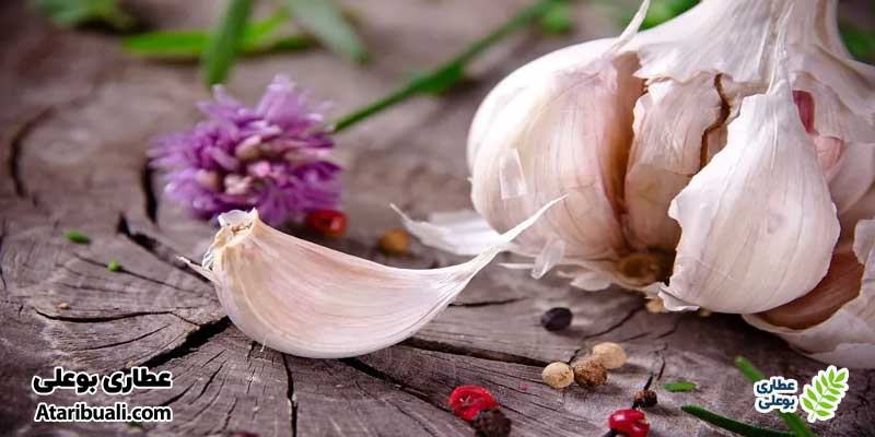 سیر: آنتی‌اکسیدان قوی برای کبد