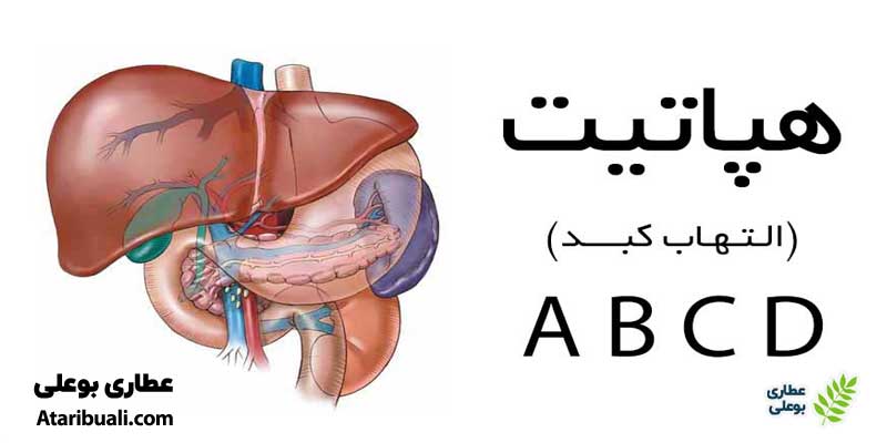 لیوروفیت برای درمان هپاتیت