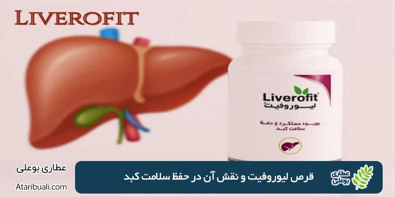 Liverfit-tablets-and-their-role-in-maintaining-liver-health
