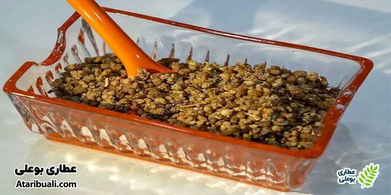 طبع ترنجبین
