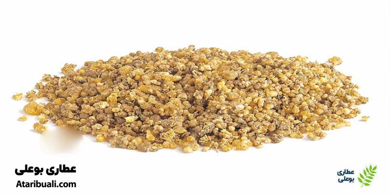 دوز مناسب مصرف ترنجبین برای کبد چرب