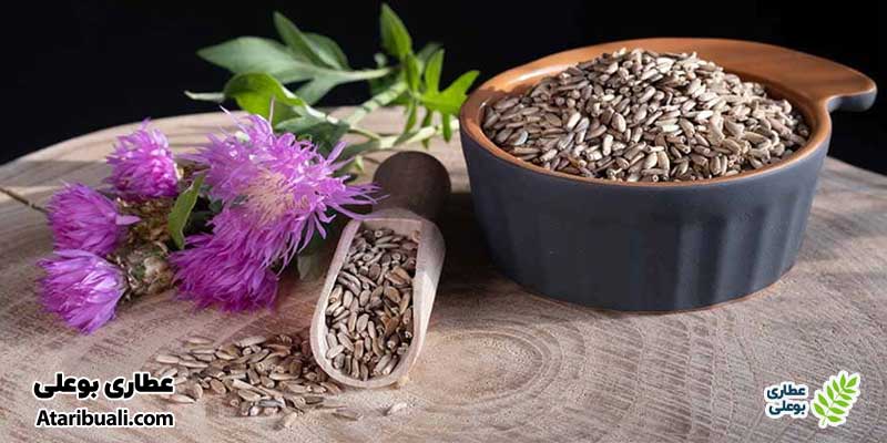 نقش سیلیمارین (خار مریم)