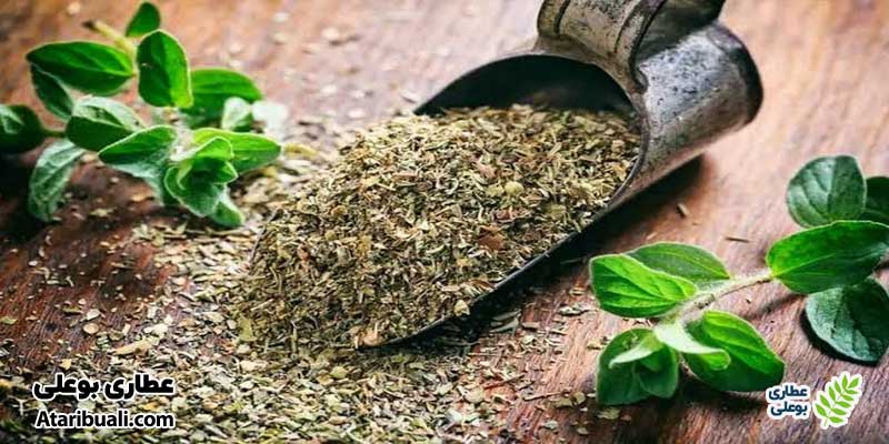 ترکیبات مؤثر آویشن