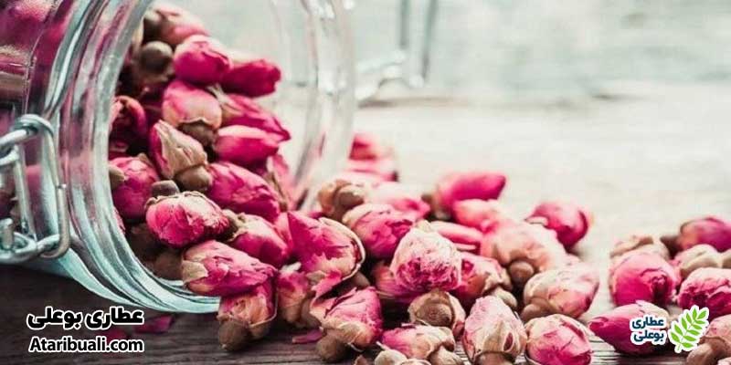 معرفی گل محمدی و ارزش دارویی آن