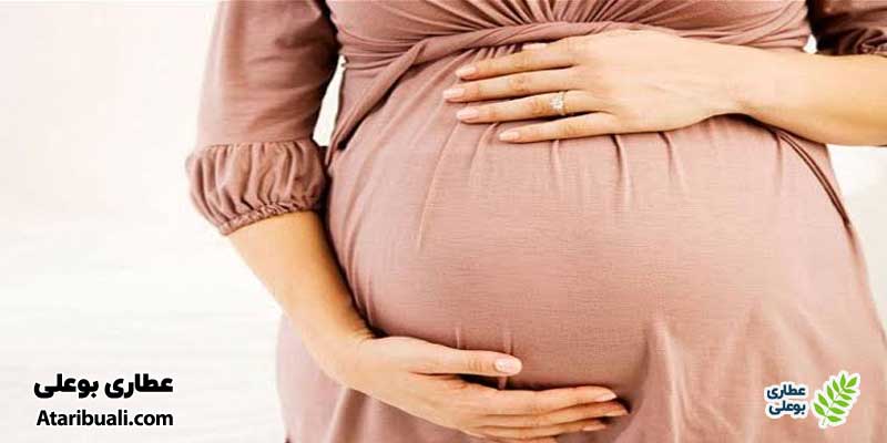ملاحظات و محدودیتهای مصرف گل محمدی