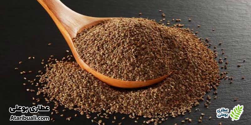 زنیان چیست؟